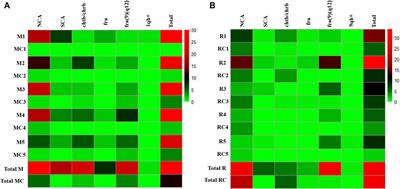 Unraveling chromosomal and genotoxic damage in individuals occupationally exposed to coal from underground mining